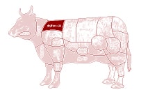 カタロース